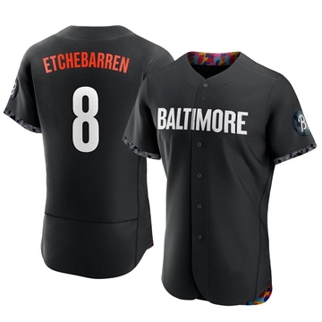 Authentic Andy Etchebarren Men's Baltimore Orioles Black 2023 City Connect Jersey