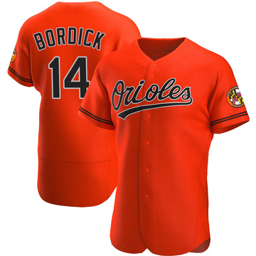 Authentic Mike Bordick Men's Baltimore Orioles Orange Alternate Jersey