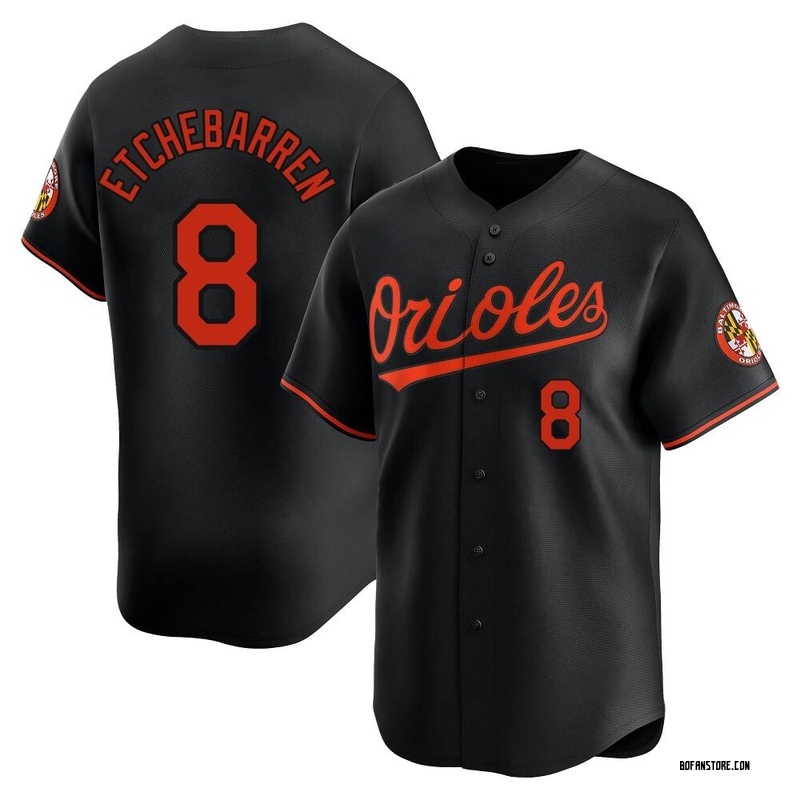 Limited Andy Etchebarren Youth Baltimore Orioles Black Alternate Jersey