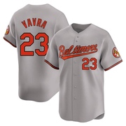 Limited Terrin Vavra Youth Baltimore Orioles Gray Road Jersey