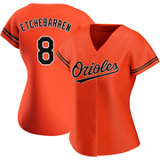 Replica Andy Etchebarren Women's Baltimore Orioles Orange Alternate Jersey