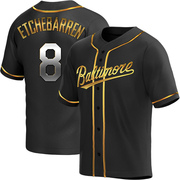 Replica Andy Etchebarren Youth Baltimore Orioles Black Golden Alternate Jersey